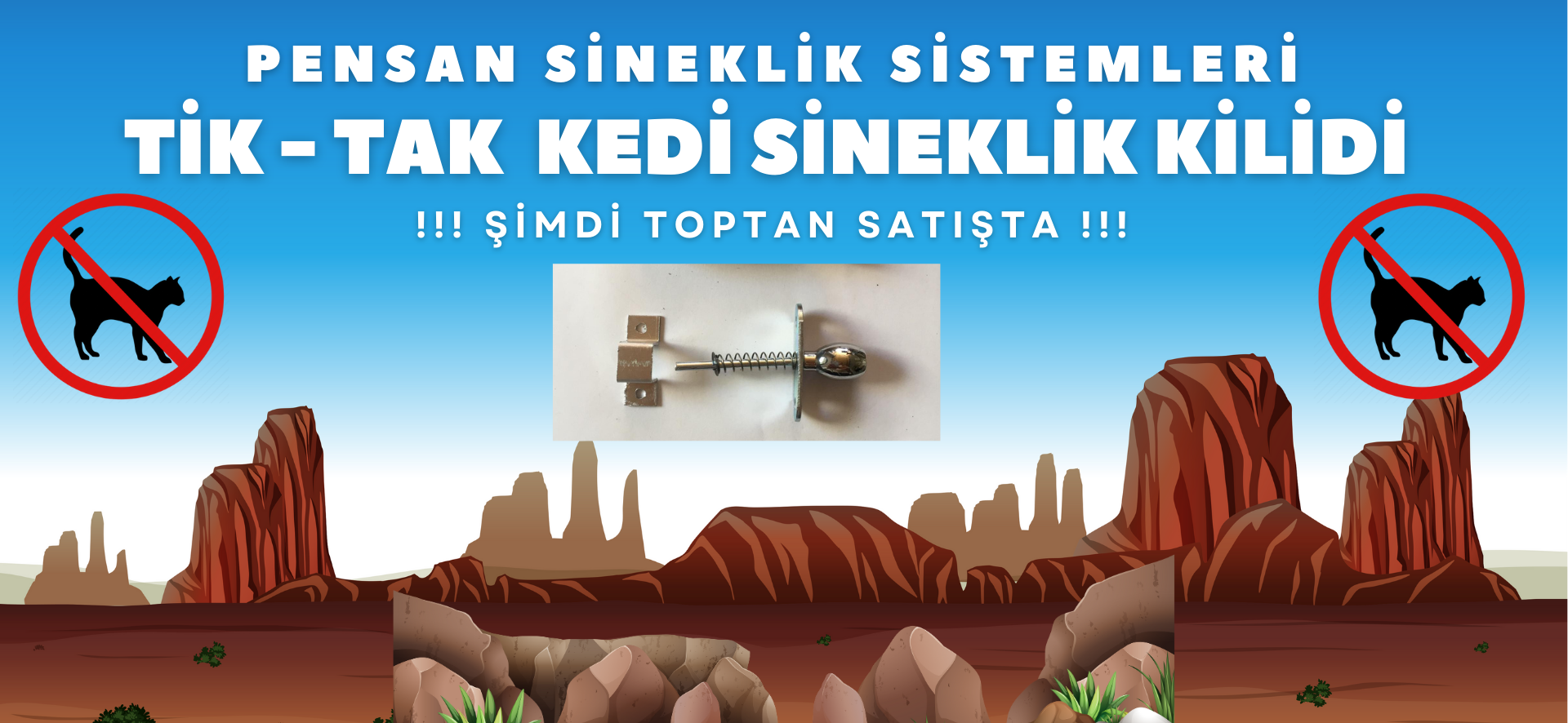 Image Desc